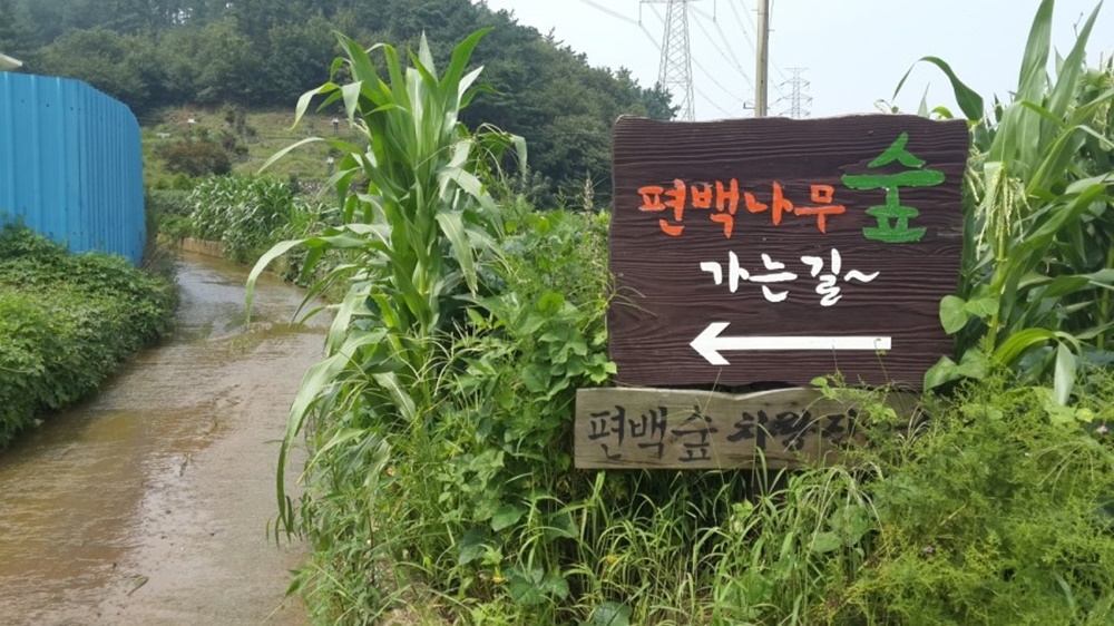 치유와 생명의 숲을 찾아서