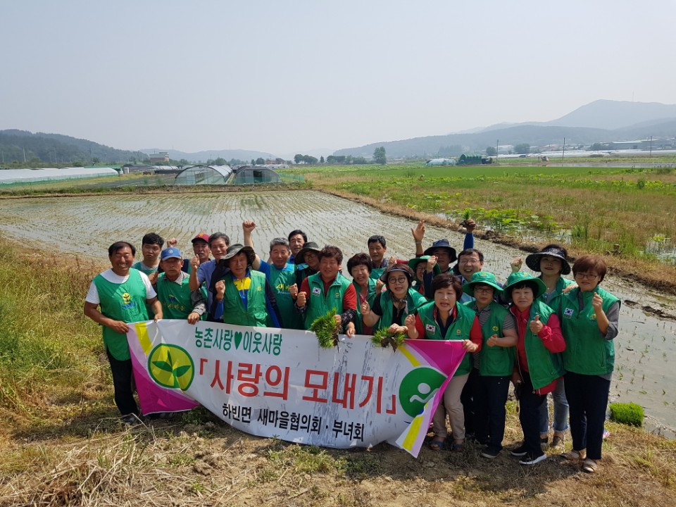 달성군 하빈면 새마을단체, '사랑의 모내기'로 이웃사랑 실천