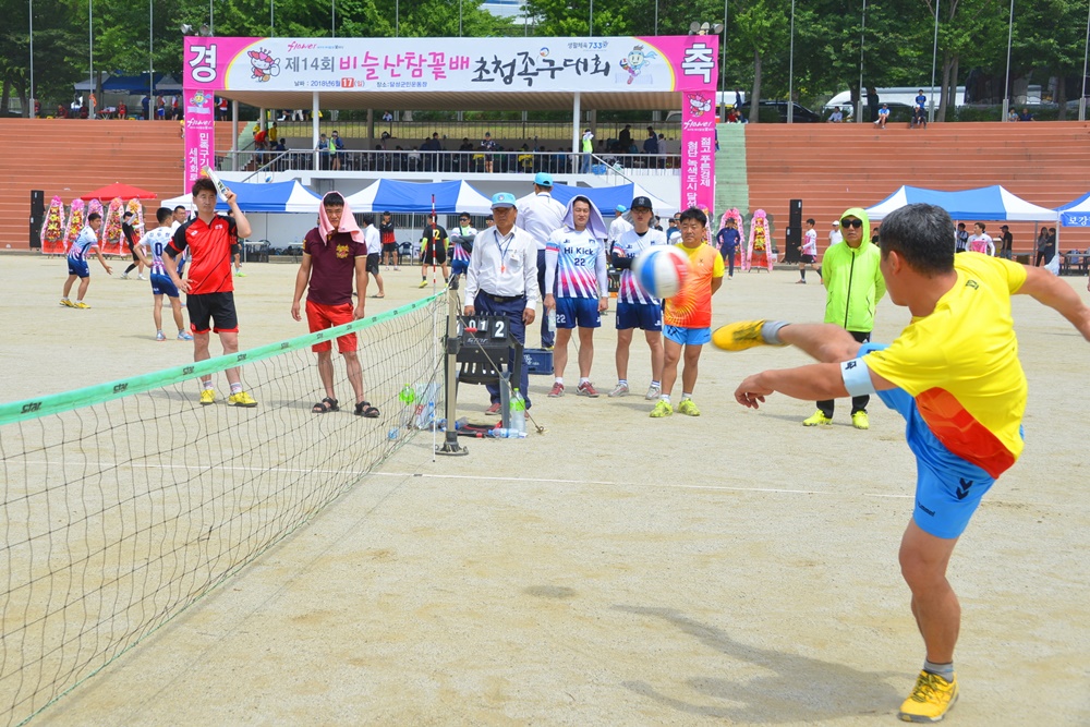 달성군, 제14회 비슬산 참꽃배 초청족구대회 개최