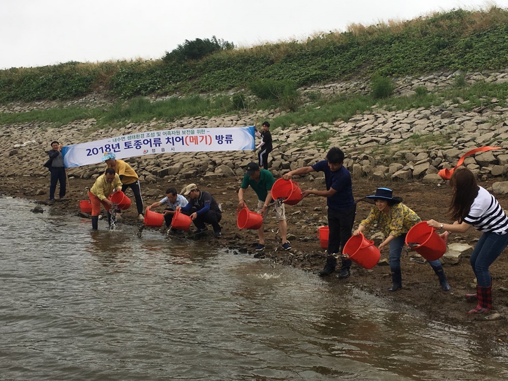 정읍시, 메기종자 16만 마리 저수지 등에 방류