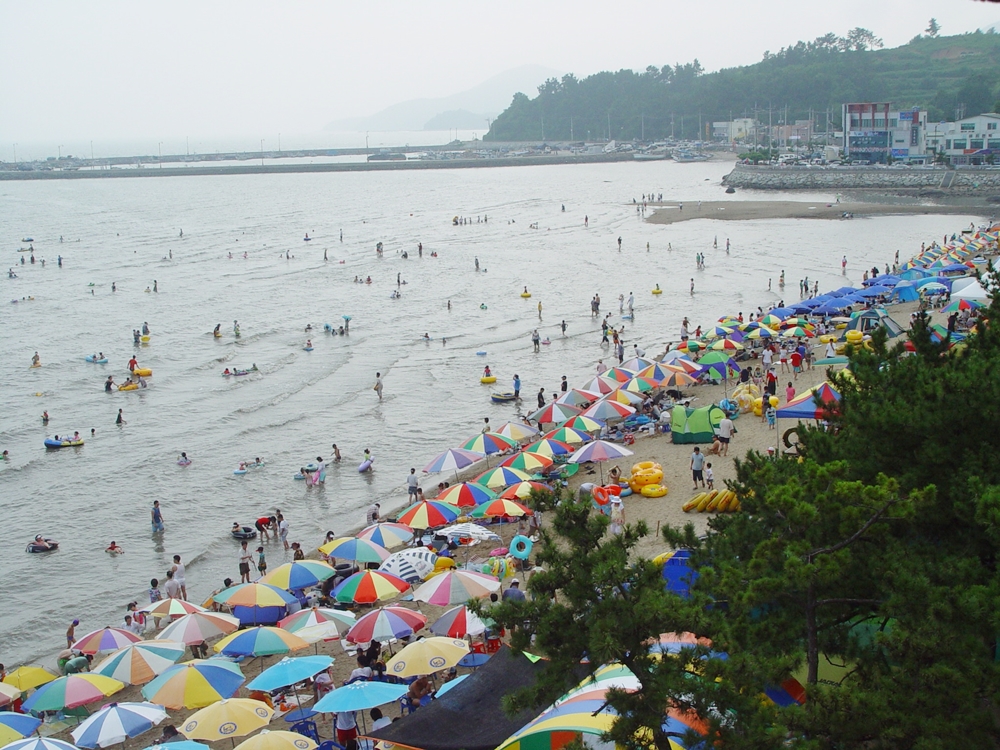 전국3대 우수 해변, ‘보성율포솔밭해수욕장’ 7월 7일 개장