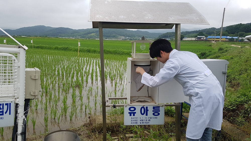 홍성군, 장마철 대비 농작물 병해충관리 철저 당부