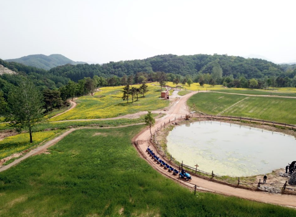 마을공동체 함께 꾸민 Y진지 꽃밭, 지역의 명소됐다