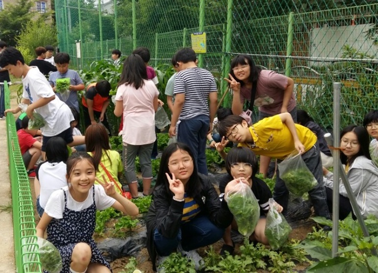전주시, 문학초등학교 등 20개 초등학교에 학생들을 위한 텃밭과 벼체험장 등 스쿨팜 조성