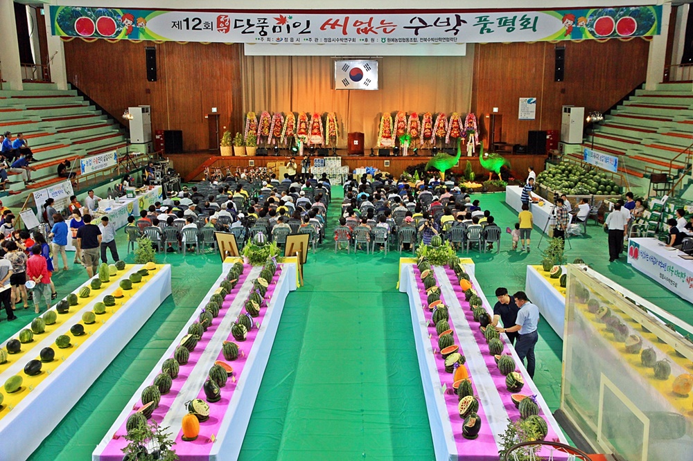 “최고의 단풍미인 씨 없는 수박을 가린다!”  제15회 단풍미인 씨 없는 수박 품평회 개최