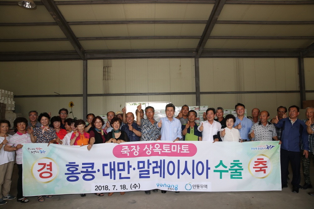 겉은 탱탱, 속은 달달한 포항 상옥토마토, 홍콩·대만 수출