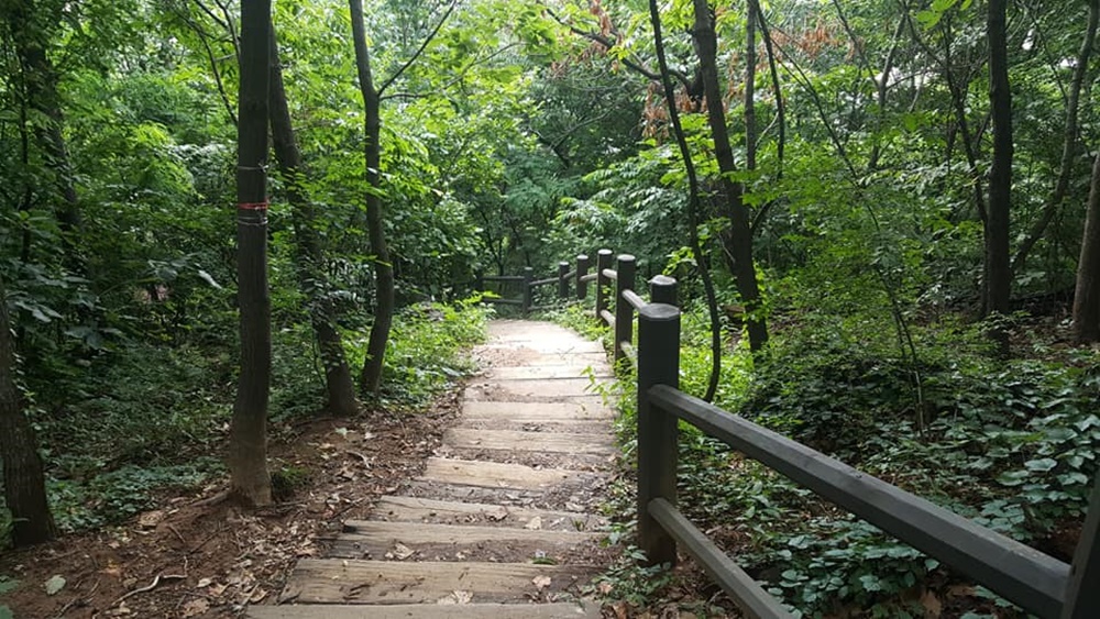 우리동네 등산로, 안전하고 쾌적하게!