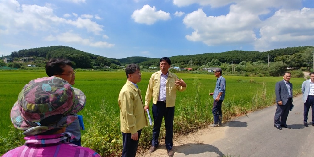 인천 중구, 영종·운서·용유 지역 가뭄피해 농경지 대책 추진