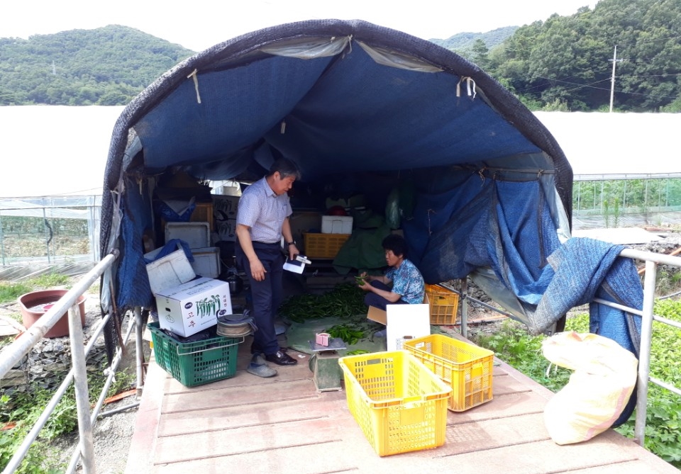 대전 중구, 농·축산분야 폭염대비 예방활동 강화