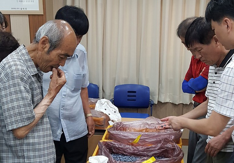 무주군 포도 · 블루베리 재배 · 관리 · 유통지원 나섰다!