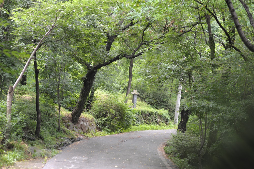 망우역사문화공원, 조국광복의 열망이 푸르른 신록으로 우거지다