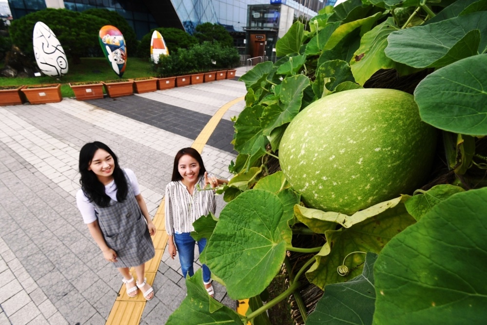 [포토] 용산구 생긴 '대박!'