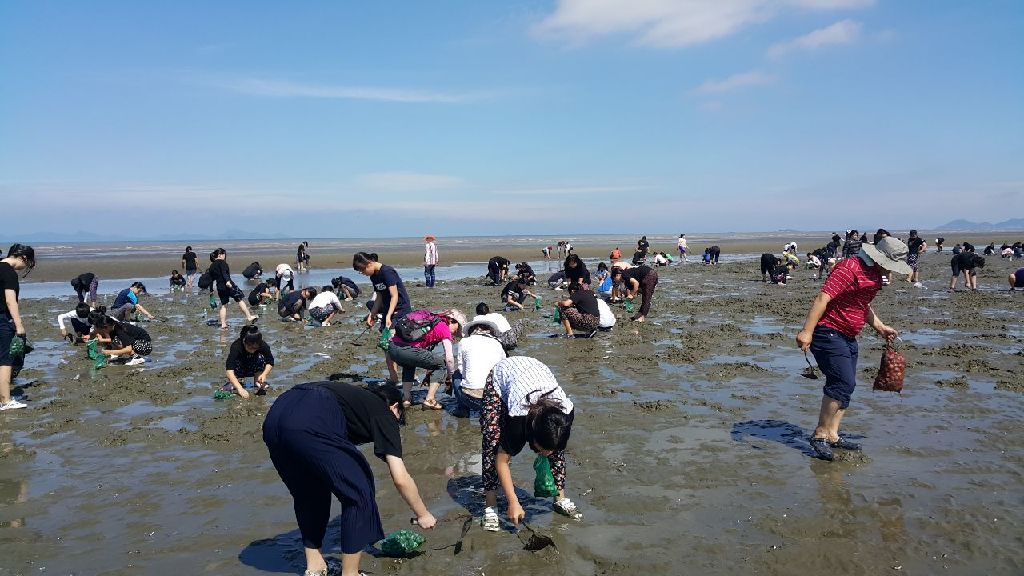 고창군 장호 어촌체험마을, 전라북도 어촌 이야기 길 공모사업 선정