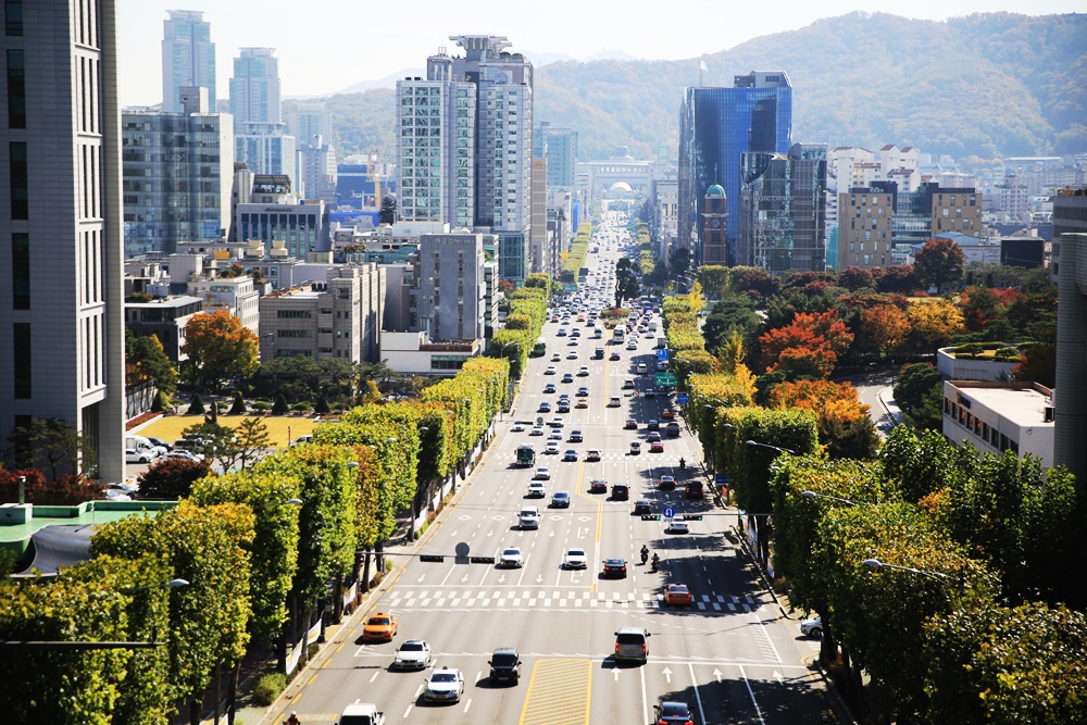 여기가 프랑스인가요? '이색 가로수길'