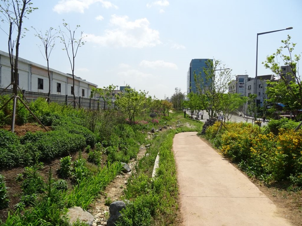 마포구, ‘나무 100만 그루 공기청정 숲’ 조성