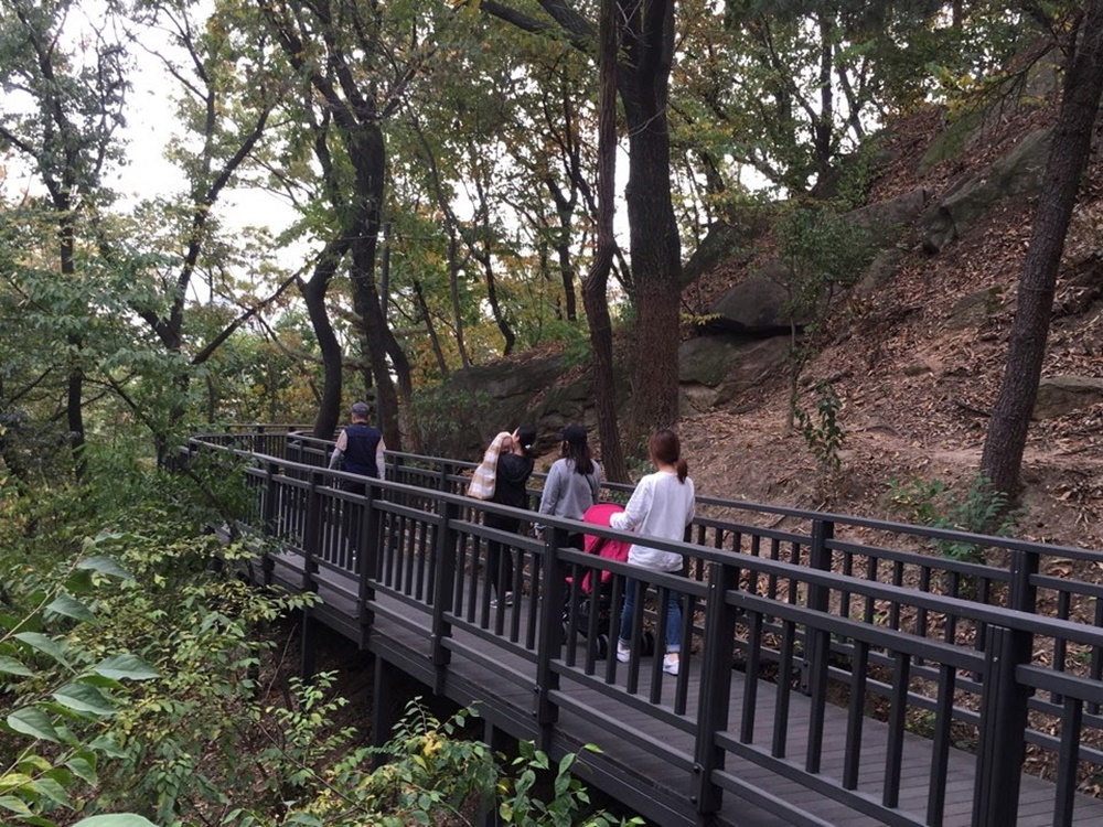 구민 품은 배봉산, 4.5km 둘레순환길 개통