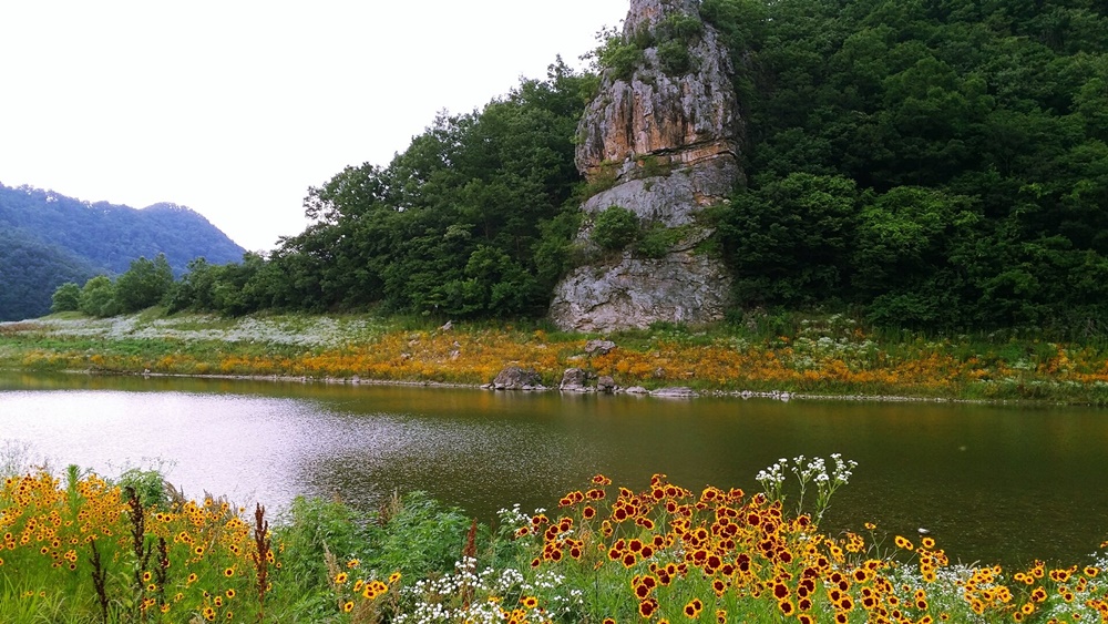 신선의 전설, 임실군 선거마을 농촌관광모델로