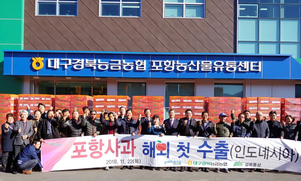 포항사과 첫 수출, 올해 50톤 수출예상