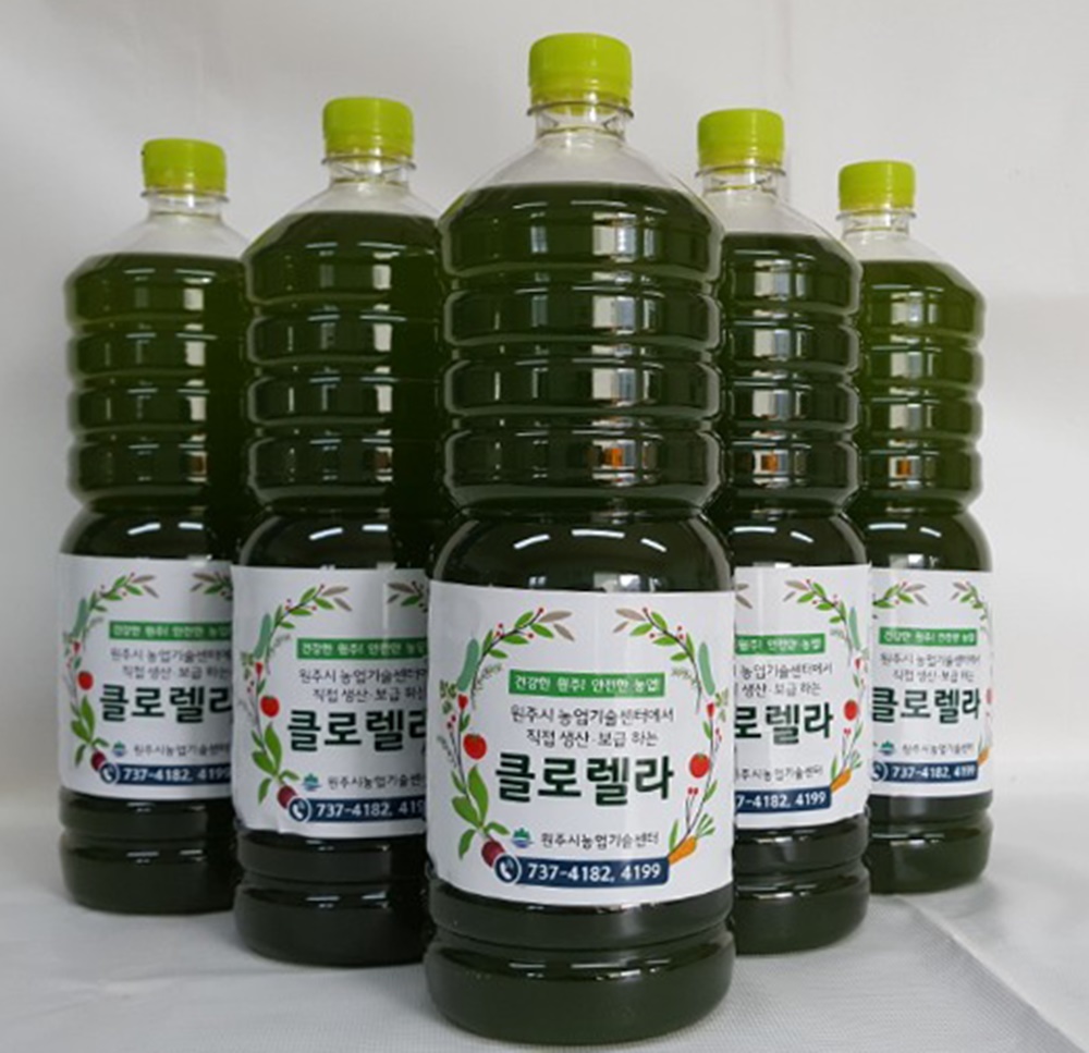 원주시 자체 생산 클로렐라, 유기농업자재 등록 완료