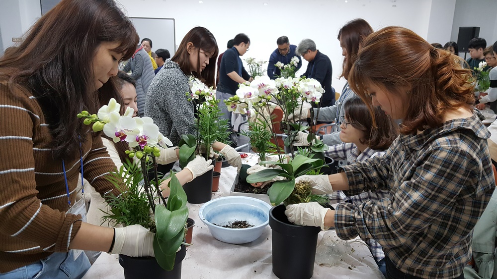 '스트레스 해소에 최고!'…나주시 직장인 원예교육 성황