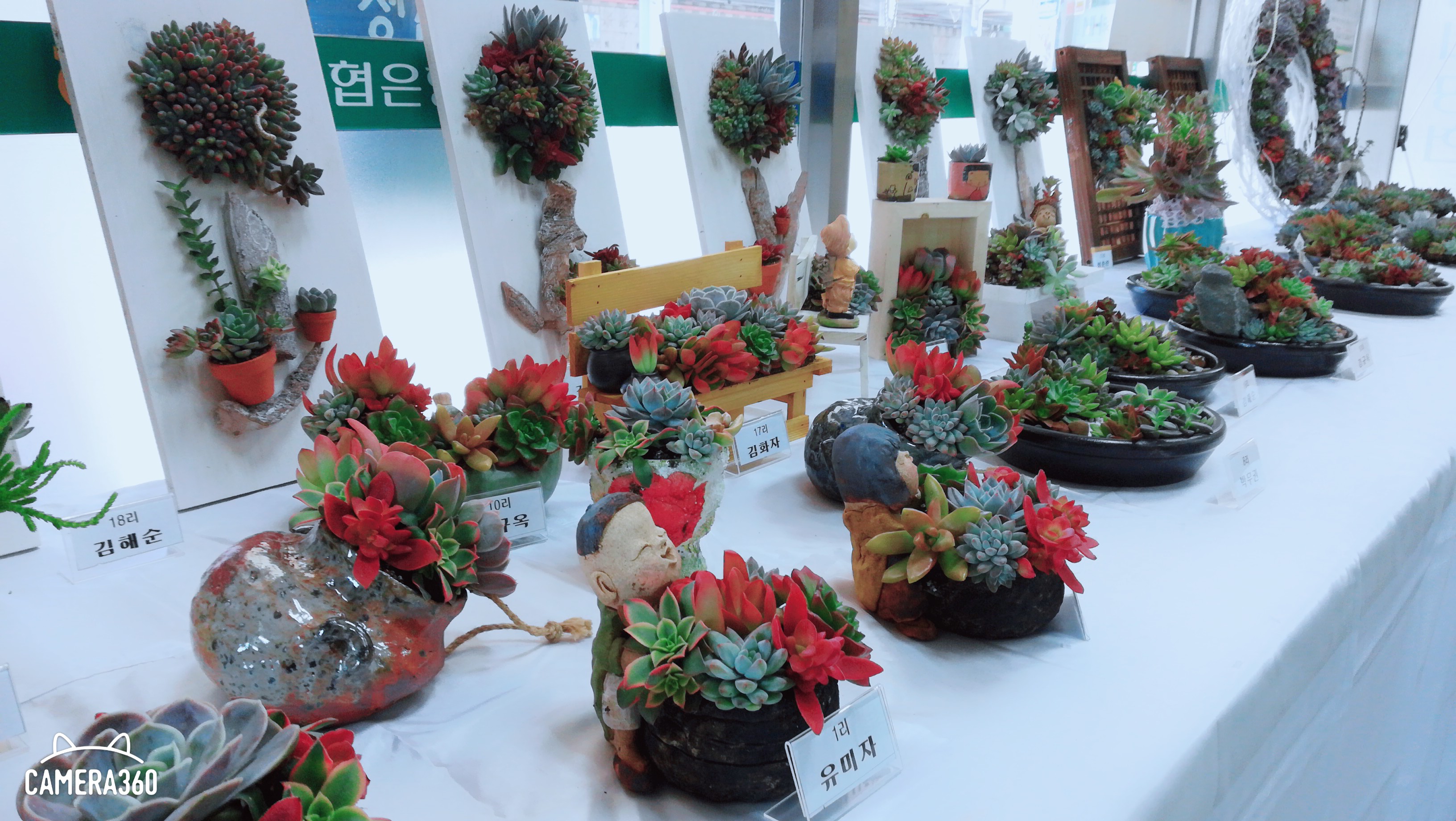 야생화마을 추리극장 추진단, ‘다육이 변신은 무죄 전시회’ 열어