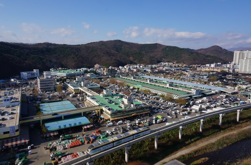 대구농수산물도매시장, 거래금액‘1조원시대’눈앞
