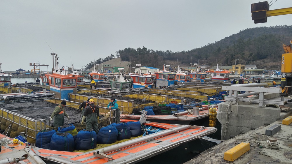 진도군, 양식수산물 재해보험 가입하세요