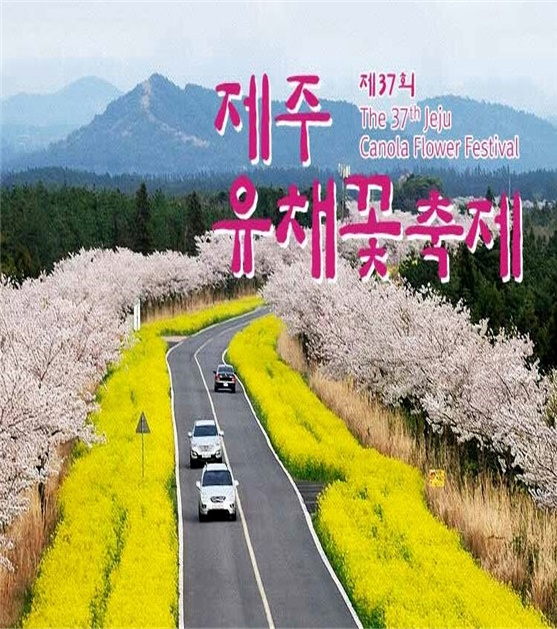 제주유채꽃 축제, 국악인 ‘박애리’ 홍보대사 위촉