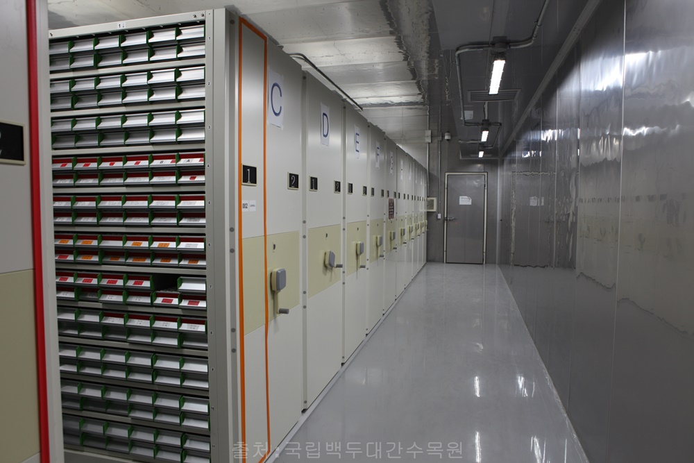경북도 수목원, 영구저장시설 시드볼트에 산림종자 보존