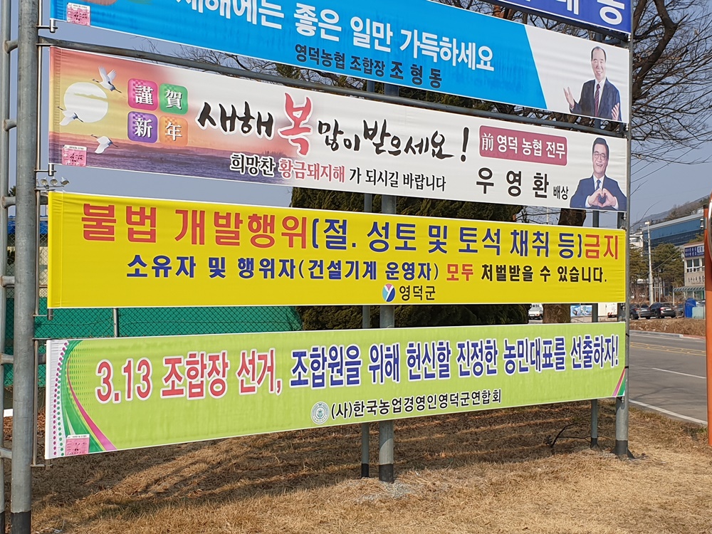 영덕군, 불법 개발행위 집중 지도·단속