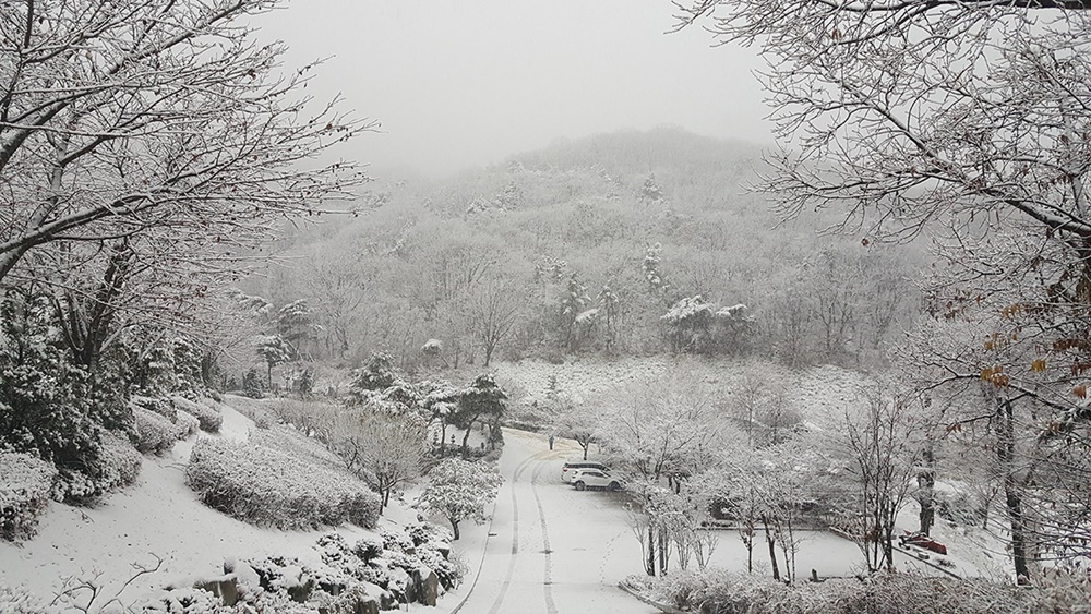 석모도 자연휴양림, 겨울철 낭만여행으로 최적지
