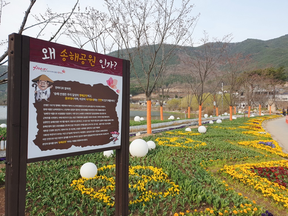 달성군 송해공원에 봄꽃이 폈어요!