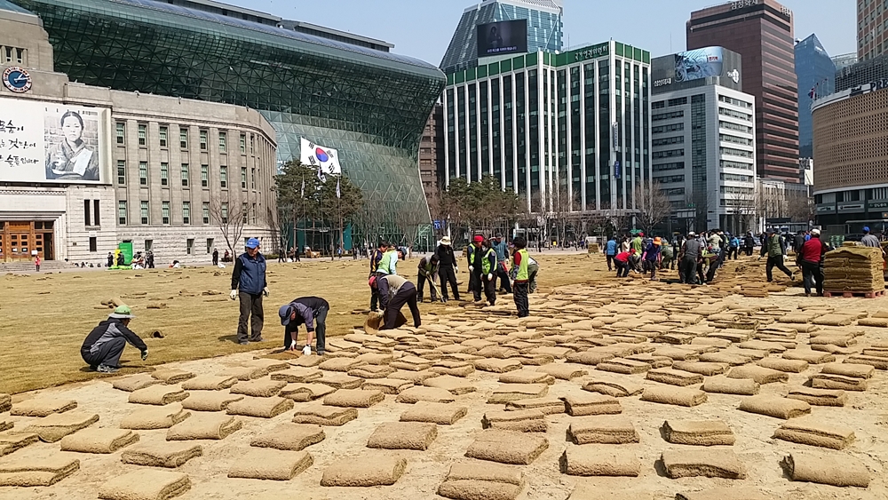 겨울 스케이트장에서 봄맞이 새 옷으로 갈아입는 서울광장