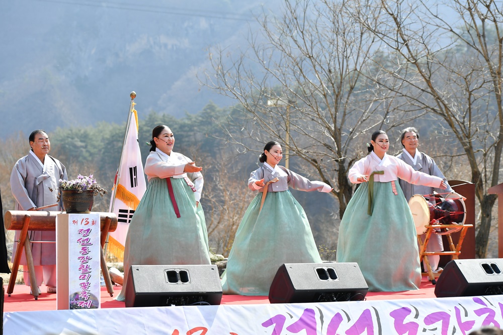 강원도의 봄을 알리는 정선 동강할미꽃 축제 개막