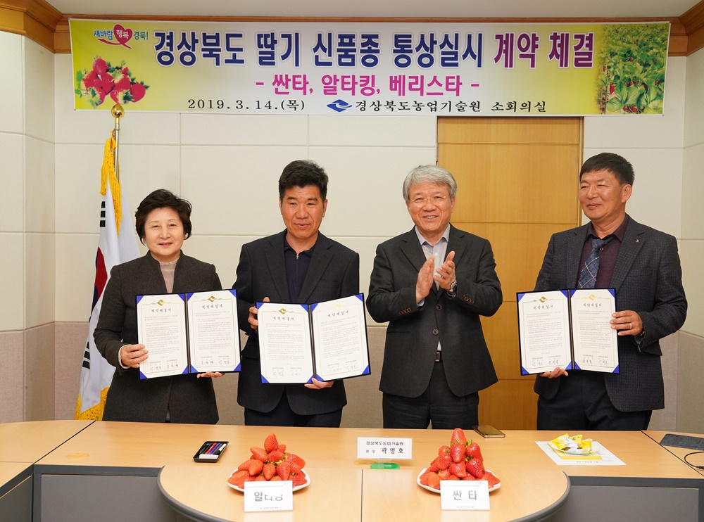 경상북도, 딸기 신품종 농가보급 속도 낸다!