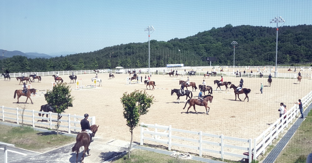 상주, 승마대회 유치로 지역 경제 활성화를 이룬다