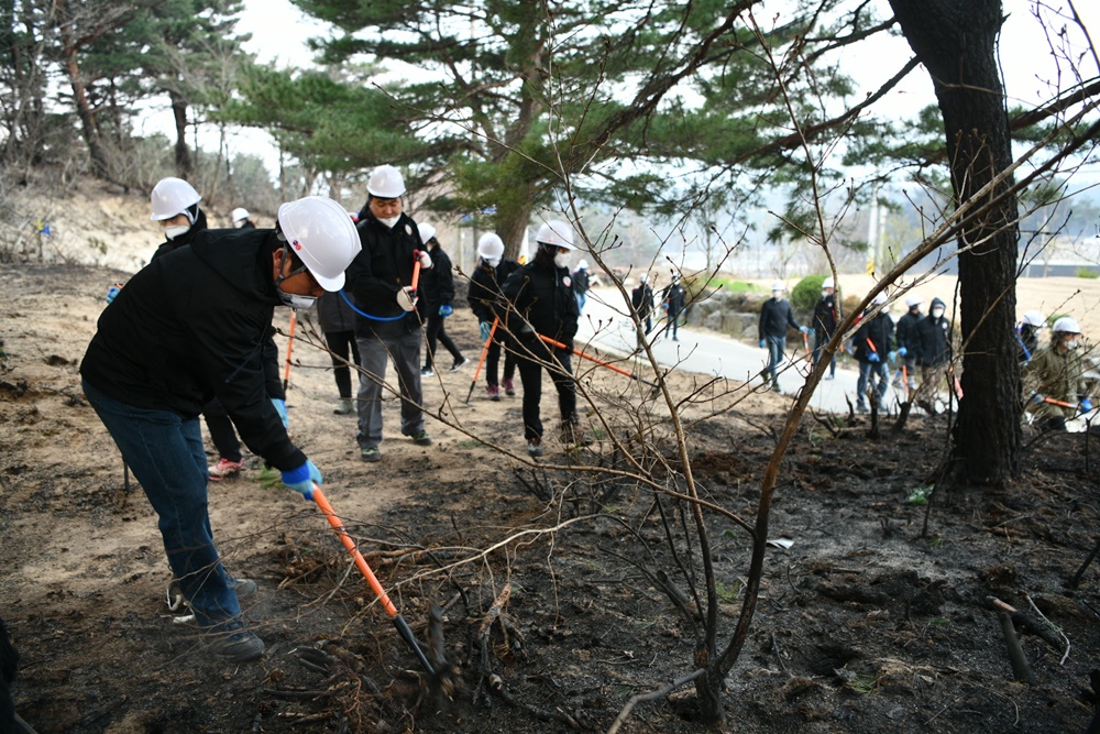속초시, 장비 및 행정력 총력 지원 산불피해 복구