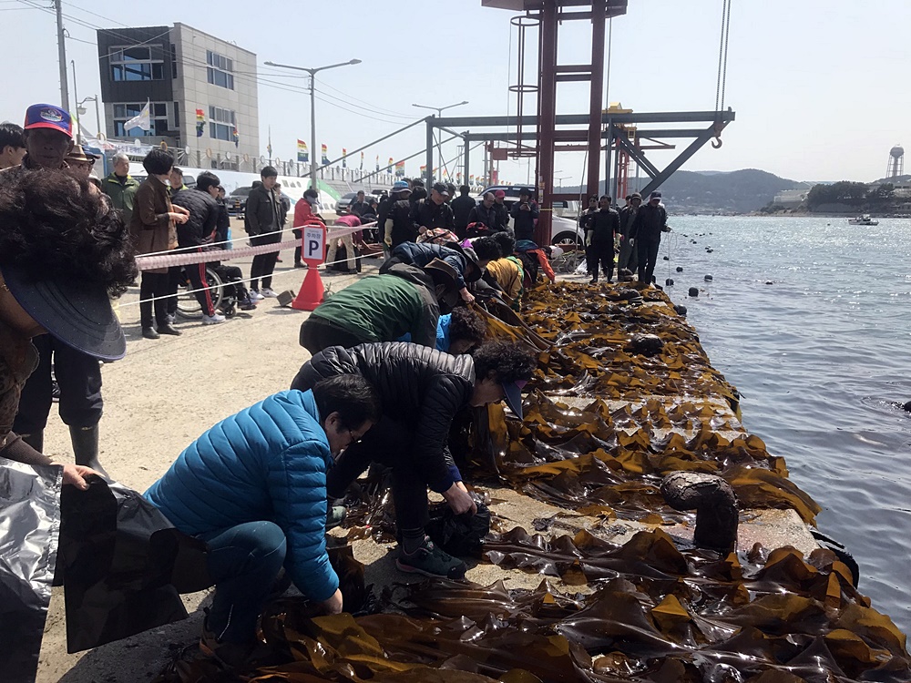 기장의 미역·다시마 맛볼 수 있는 축제 열린다