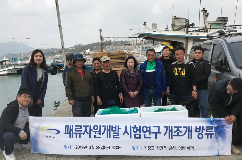 기장 연안해역 패류특화단지 조성을 위한 개조개 종자 시험 방류