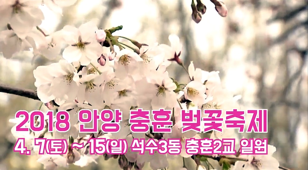 안양충훈 벚꽃축제 현장, 모바일로 본다!