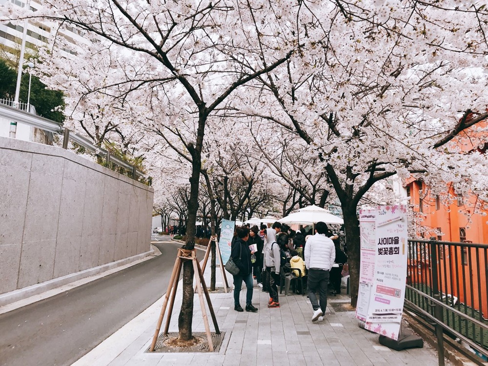 꽃향기 퍼지는 봄맞이 축제의 장으로 초대합니다