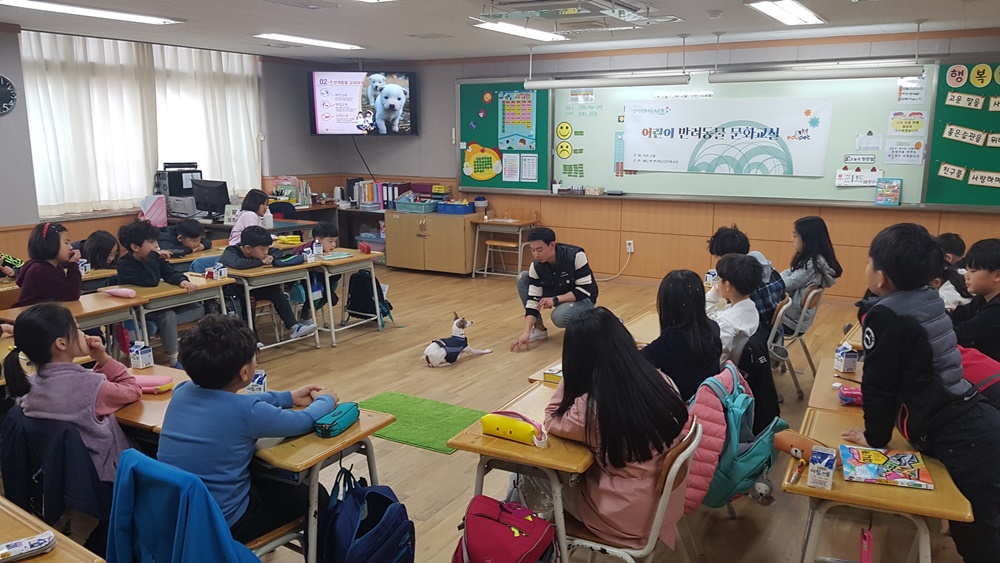 사각지대 없는 반려동물 복지정책 펼친다