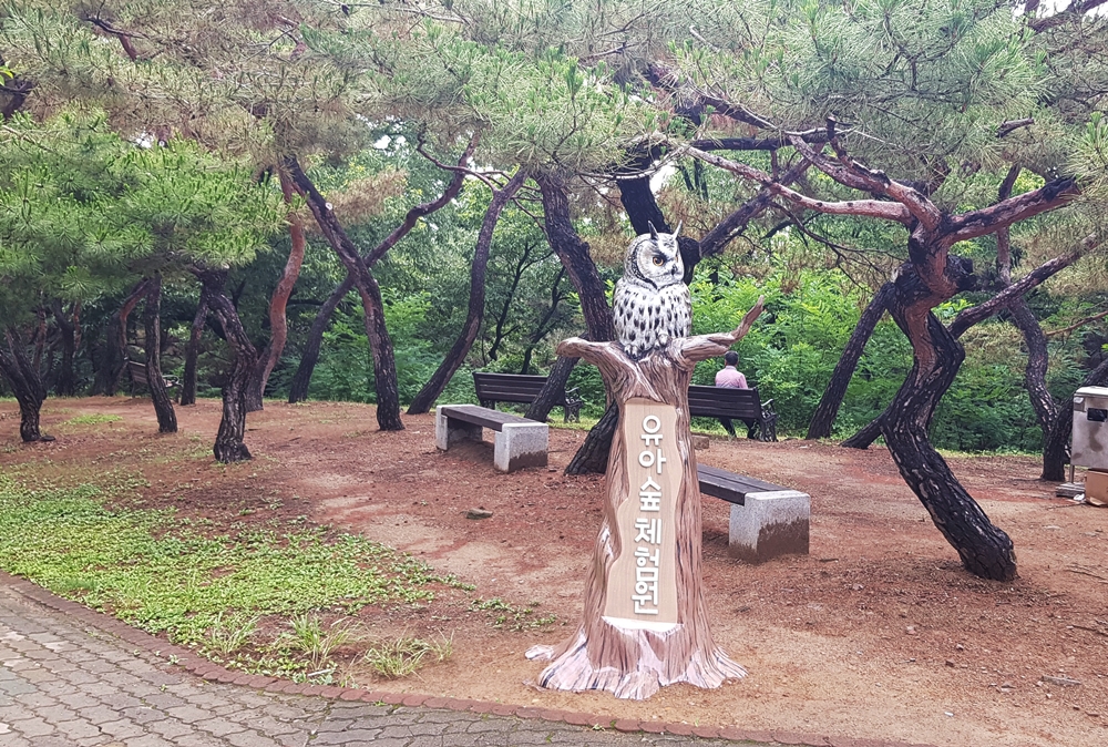 대구북구, 연암공원내 '유아숲체험원' 보완공사 완료