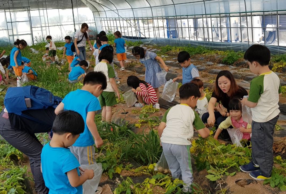 익산시 오산면, '우리밀 현장체험학습' 각광!
