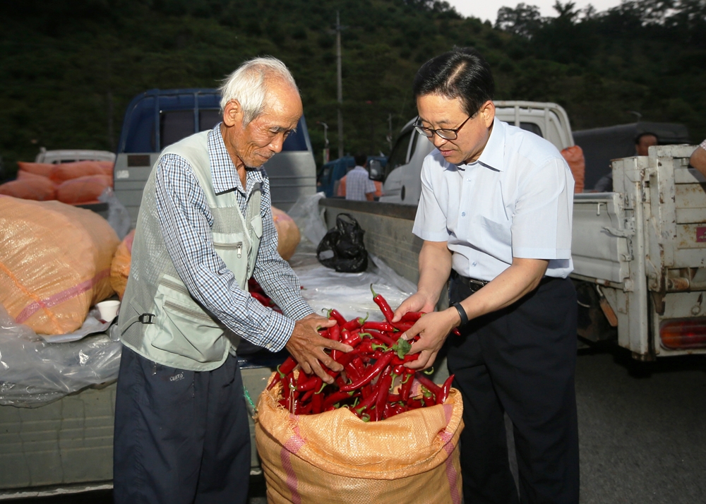 괴산군, 홍고추시장 8월 3일 개장
