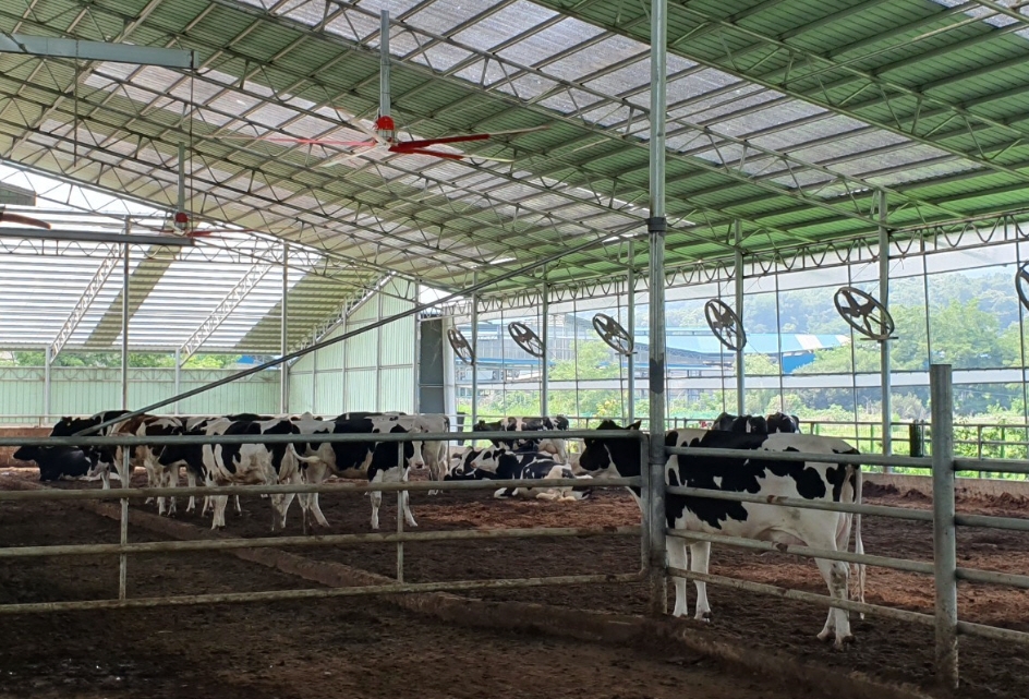 양주시, 청년 농업인 4-H 영농정착 시범사업… 만복목장 선정