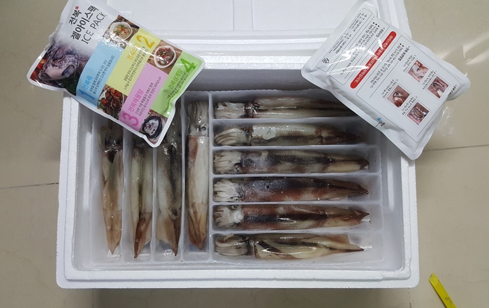 흑산도해역 오징어 어획량 크게 증가!