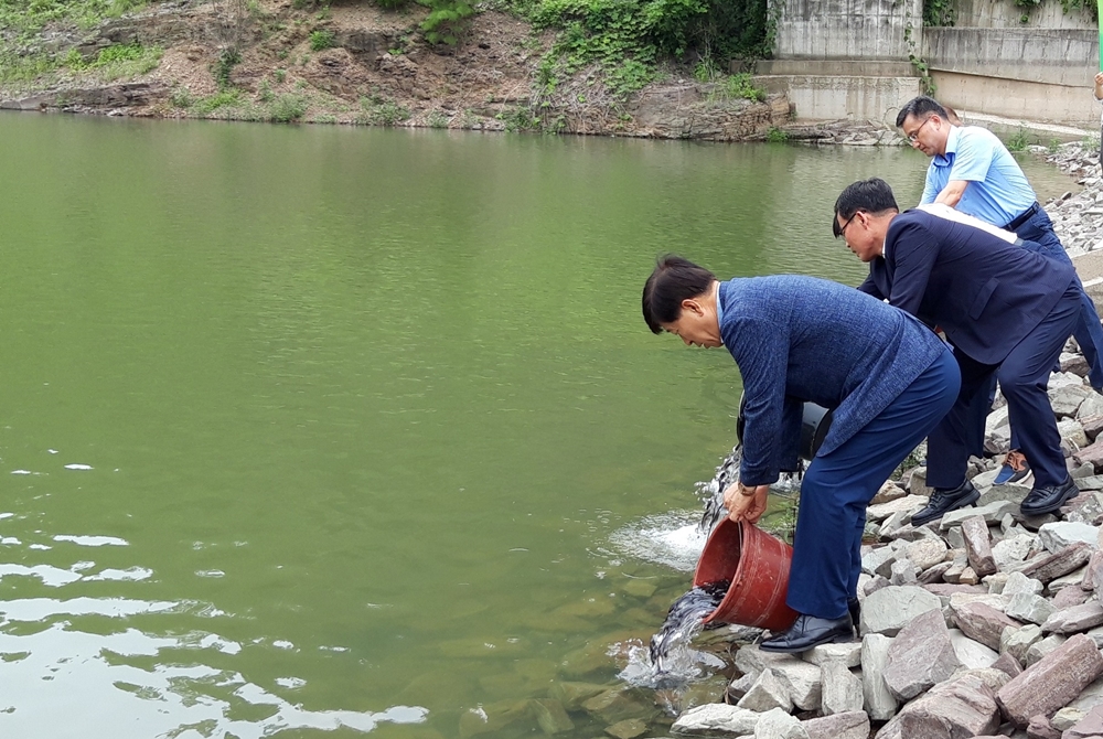 의령군 내수면, 생태계 복원위해... 3개 소류지에 민물고기 방류