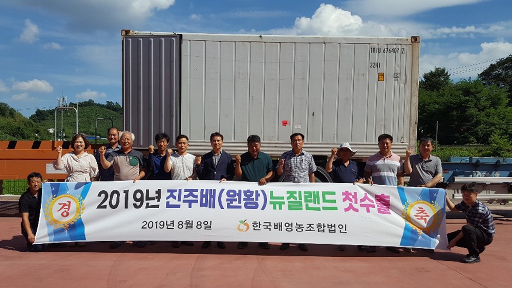 진주시, 2019년산 ‘햇배(원황)’ 뉴질랜드에 6.7t 첫 수출