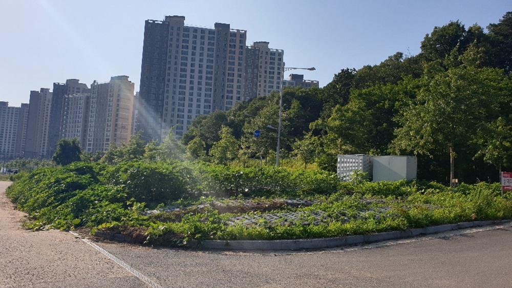 김포시, 마산동에 지방재정의 숲 조성 된다.